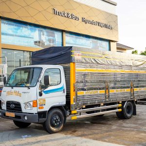 Xe chở thanh long 6.3 tấn Hyundai W11SL