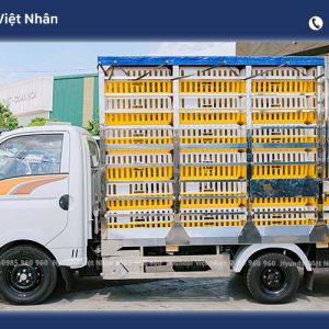 Thông số và giá xe H150 chở gia cầm