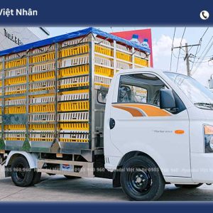 Xe tải nhỏ chở gà vịt Hyundai H150