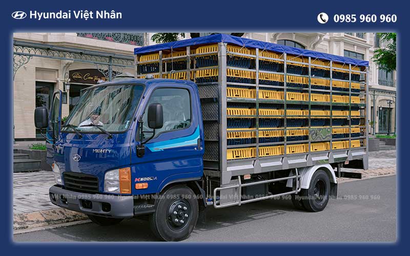 Kích thước xe tải N500LA